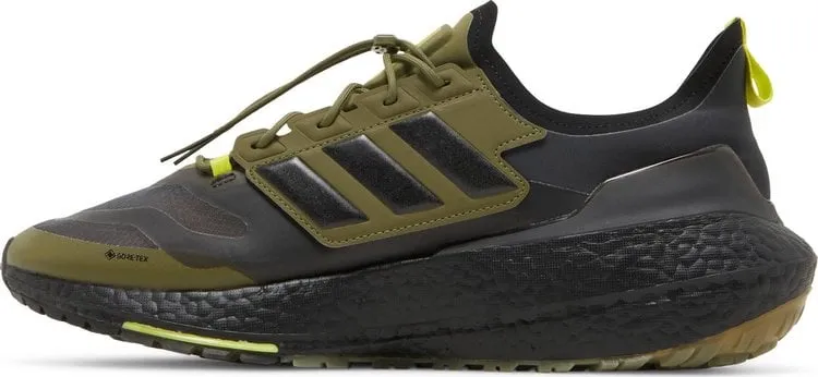 Adidas UltraBoost 21 GTX 'Focus Olive', green