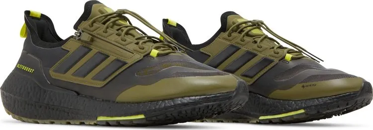 Adidas UltraBoost 21 GTX 'Focus Olive', green